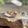 Twin Bloom Sparkle Ring