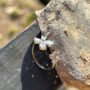Frosted Wings Butterfly Ring