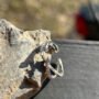 CrossCurve Elegance Ring