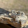 Starlight Charm Ring