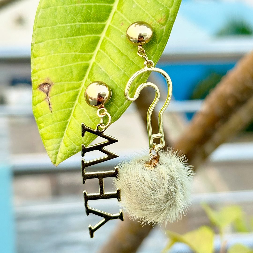 Why & Question Mark Earrings