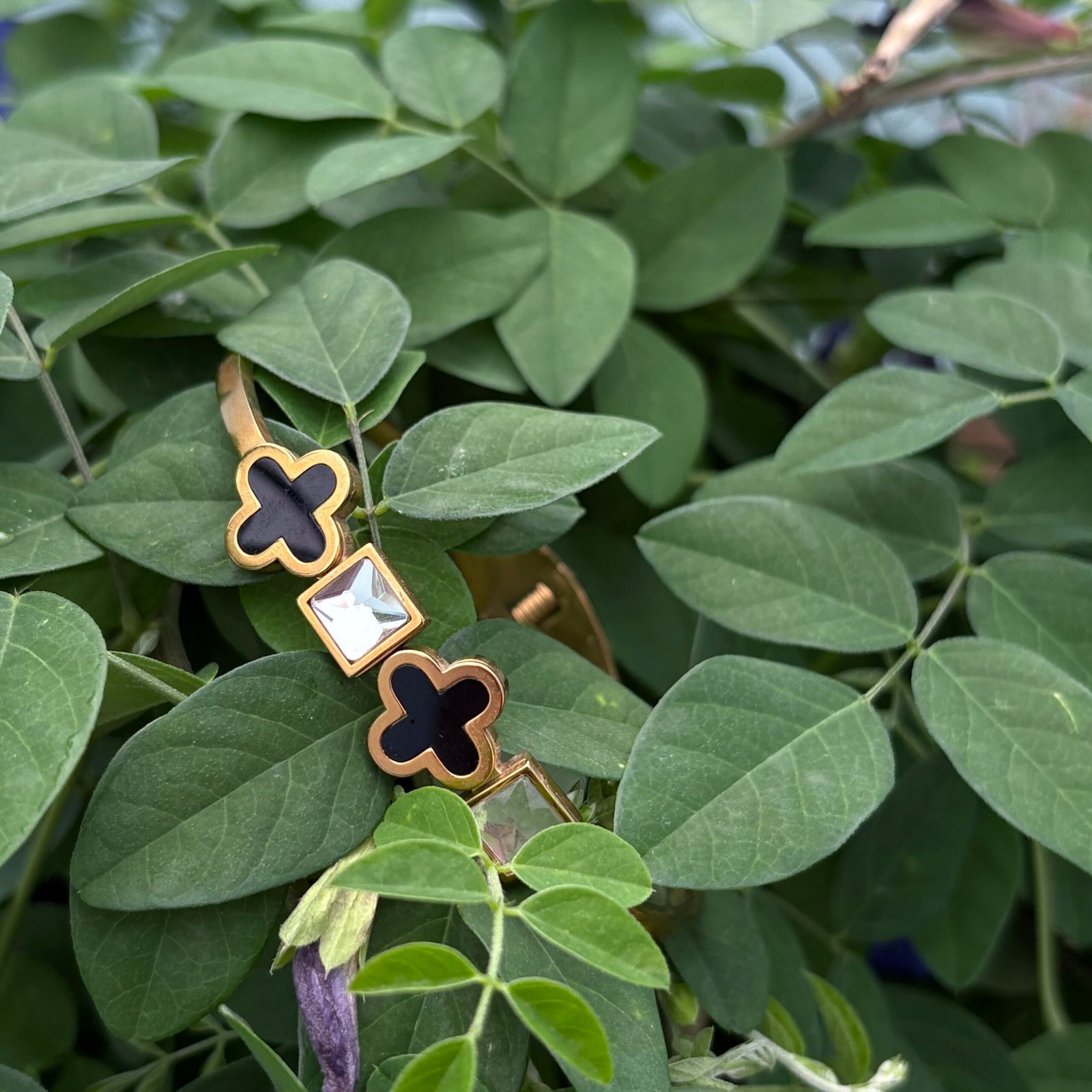 Royal Charm Royal Charm